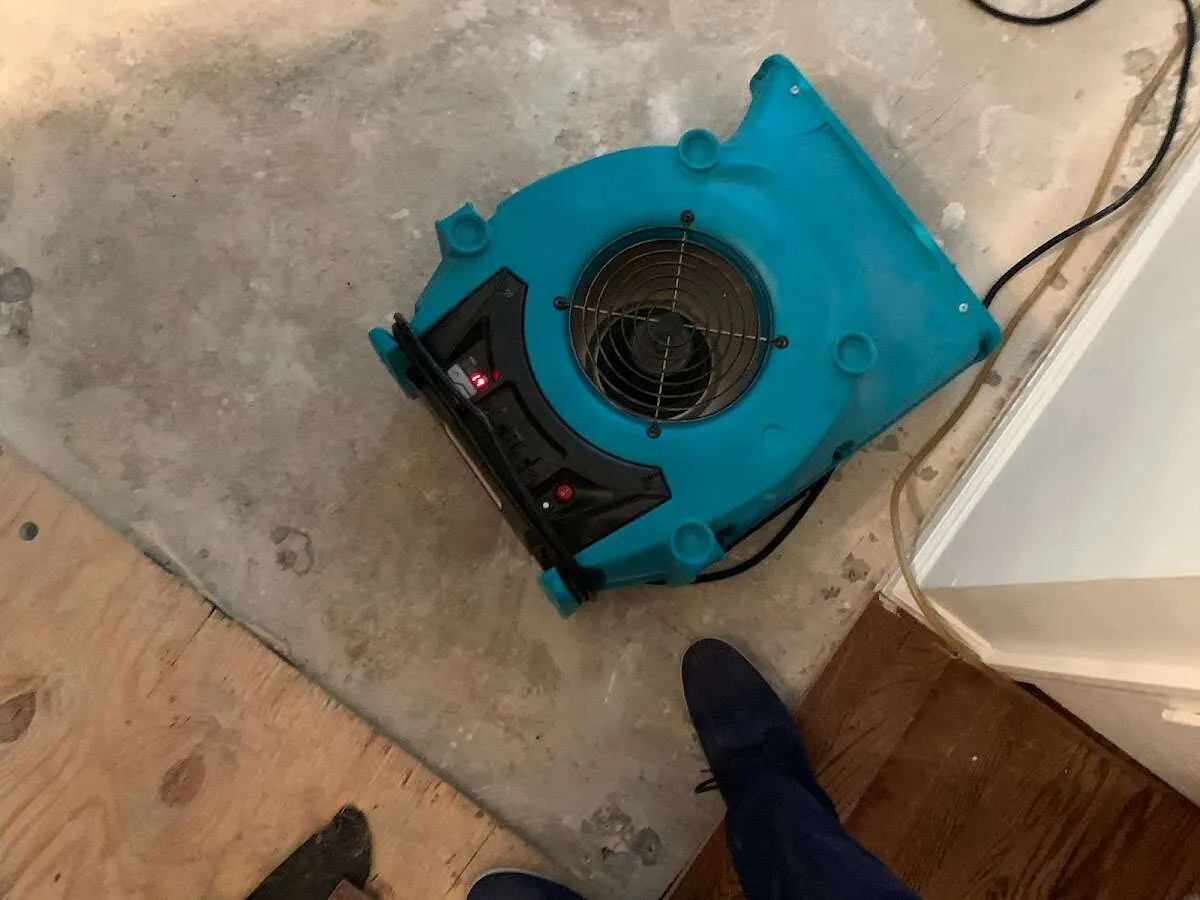 Air mover drying subfloor during Commercial Water Damage Restoration in Zephyrhills West