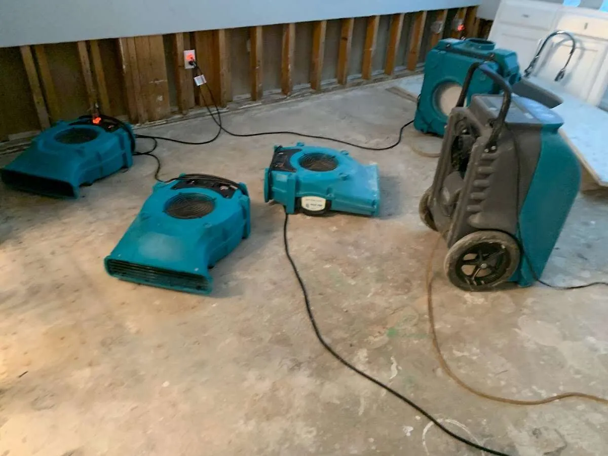 Water Damage Restoration services in Zephyrhills West, FL